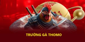 Trường gà Thomo